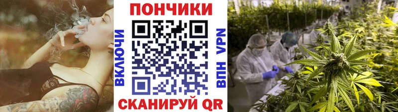 Бошки марихуана OG Kush Отрадное